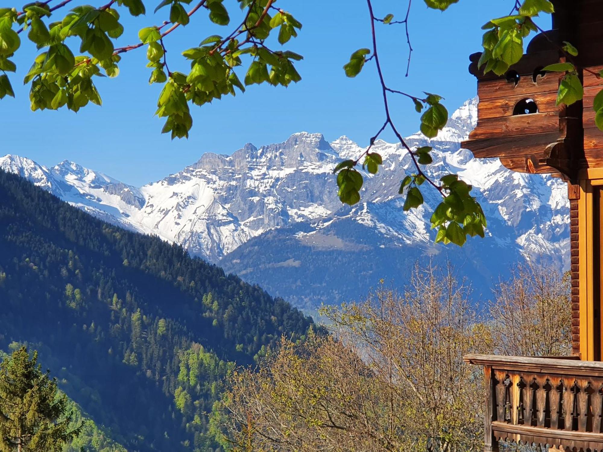 Magnifique Chalet Valérie 5 chambres à coucher&vue unique Gryon Extérieur photo
